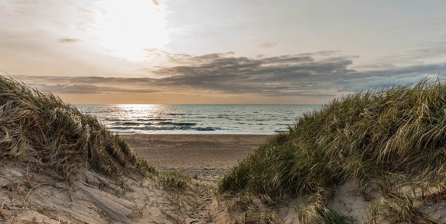 Surfen Dänemark